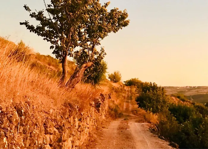 度假居 Pomar Da Choca 阿伦克尔