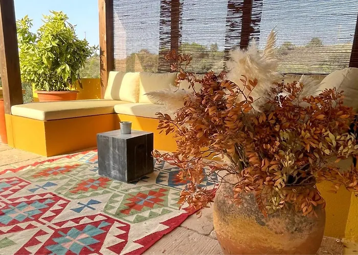 Pomar Da Choca * 阿伦克尔